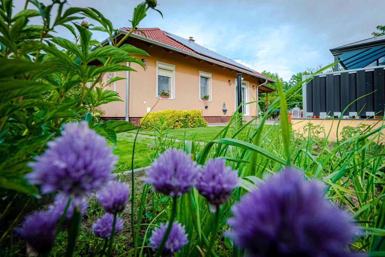 Willa Sunny Garden Pihenohaz Siófok Zewnętrze zdjęcie