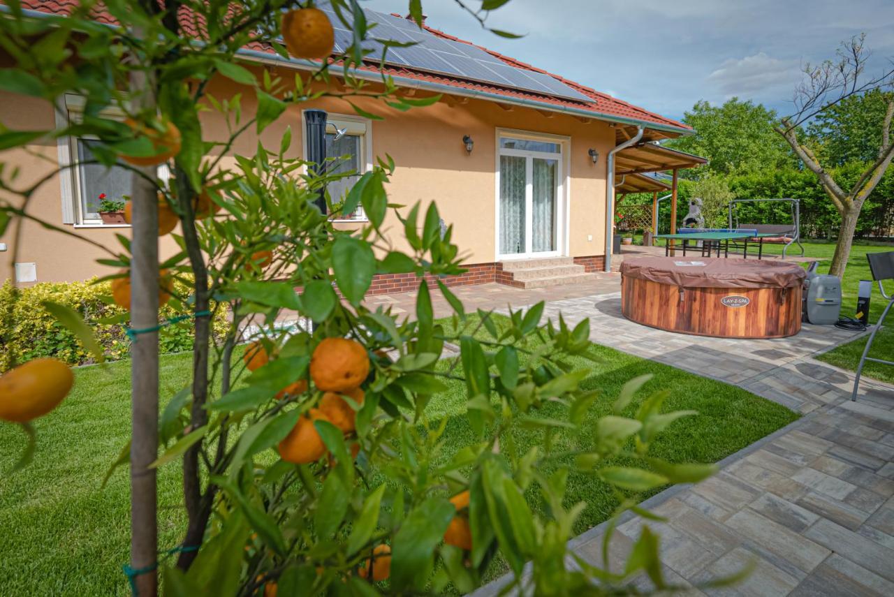 Willa Sunny Garden Pihenohaz Siófok Zewnętrze zdjęcie